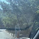 어실로 | 양산 배내골 | 부산 근교 계곡, “솔밭휴양림”, 양산 계곡 평상대여 내돈내산 후기