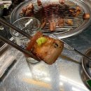 상록회관장곡점 | [시흥장곡] 가성비 연탄구이 고깃집, 치즈가리비 _ 상록회관 연탄구이 장곡점 솔직후기