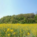 옥천공원 이미지