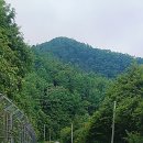 민둥산로 입구 티스토리