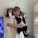 고창 원마트 | 일상 이상 삼상