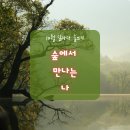 10월 달마다 글쓰기 숲에서 만나는 나! 참여자 모심 이미지