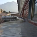 사파동322 이미지