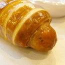 도그에이드 이미지