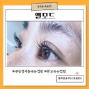소셜펌 | 정자동 속눈썹펌 엘모드에서 속눈썹 펌 하고 친절한 상담과 전문성에 감동받고 온 후기