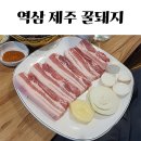 꿀돼지