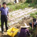 박곡농장 이미지