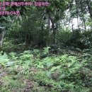 홍산2리 노인회관 네이버블로그