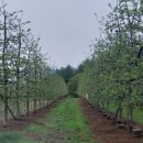 횡계고려의원 이미지