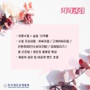 레진노리터