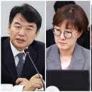 금두꺼비게임PC 이미지