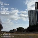 영덕하나약국 | 3월의 일상 | 먹달먹달 3월, 벚꽃만개, 즉흥적인 나날