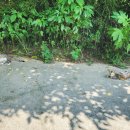 남면 행정복지센터 주차장 이미지