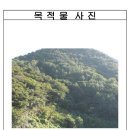 구랑동
