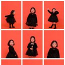 볼브스튜디오 네이버블로그