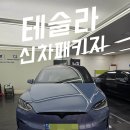 테슬라 모델X 포레스트 블루에 딱 맞는 존슨썬팅 패키지 후기