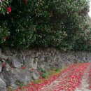 올레로하우스 이미지