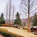 미끄라트 이미지