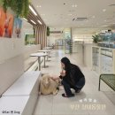 마리앤쥬 | [대구 실내데이트 추천 / 서면 실내동물원] 마리앤쥬 솔직후기