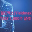 마이너스맥스 이미지