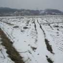 갈산리목장 이미지