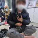 오아이펫 이미지