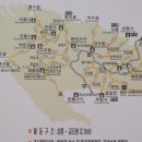 반월성막걸리 이미지