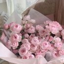 포기하지마 이미지