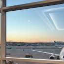 뱅가드안경마트 | 동생과 함께한 5박 6일 도쿄 여행 DAY1,2