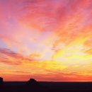 에덴시아 이미지