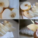 금배농장 이미지