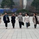 도모 주식회사 이미지