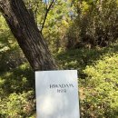 웅골 | 화담숲 입장 팁, 맛집 추천 곤지암 웅골 후기(묵은지 등갈비찜(중))