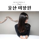 울산 삼산 미용실 미장원 머리잘하는곳 추천