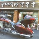 (주)망고투어
