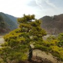 구암동387 이미지