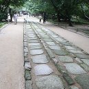 어로가 이미지