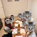 짱짱이네 | 짱짱이 생일 파티- 맥도날드 해피밀, 주토피아 2, 그리고 집에서 포션 만들고 컵케이크 만들기