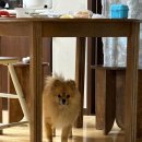 청화종합동물병원 이미지