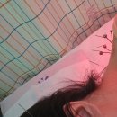 교통사고 자동차사고 자동차보험 치료 후기 (포항한방병원 PART 4)