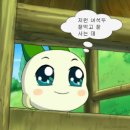 SNS 인플루언서 이미지