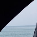 원투 | 고성 T방파제 원투낚시 후기｜텐트 안에 있다가 강풍에 뒤집힌 이야기