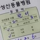성신동물병원 이미지