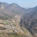 마니산 농원 Daum카페