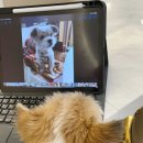 에스토스카페 이미지