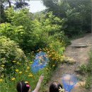 난향동-1 이미지