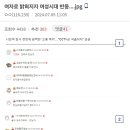 시청역) 여자로 밝혀지자 여시 반응 ㅋㅋㅋㅋㅋ 이미지