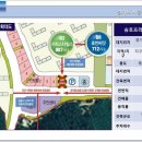 가온초등학교 앞 횡단보도 이미지