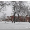 Harvard University [하버드 대학교] ... & 최초의 컴퓨터 이미지