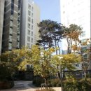 중랑숲리가 이미지